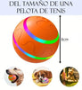 Pelota Inteligente para Mascotas